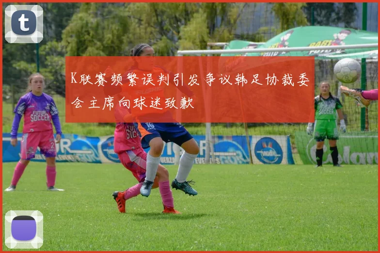 K联赛频繁误判引发争议韩足协裁委会主席向球迷致歉