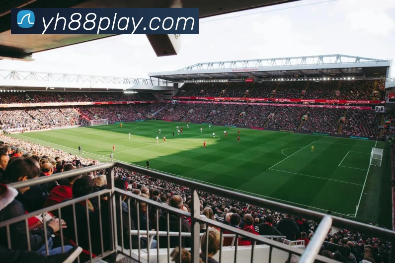 壹号娱乐APP 封面图